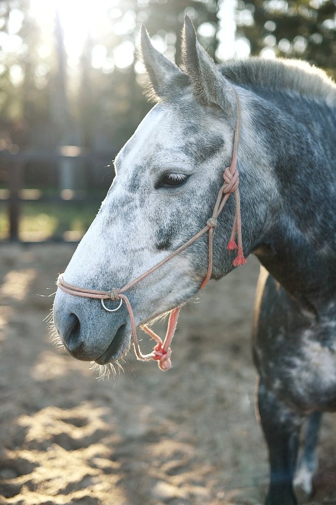 Photograph by Ирина Моисеенко