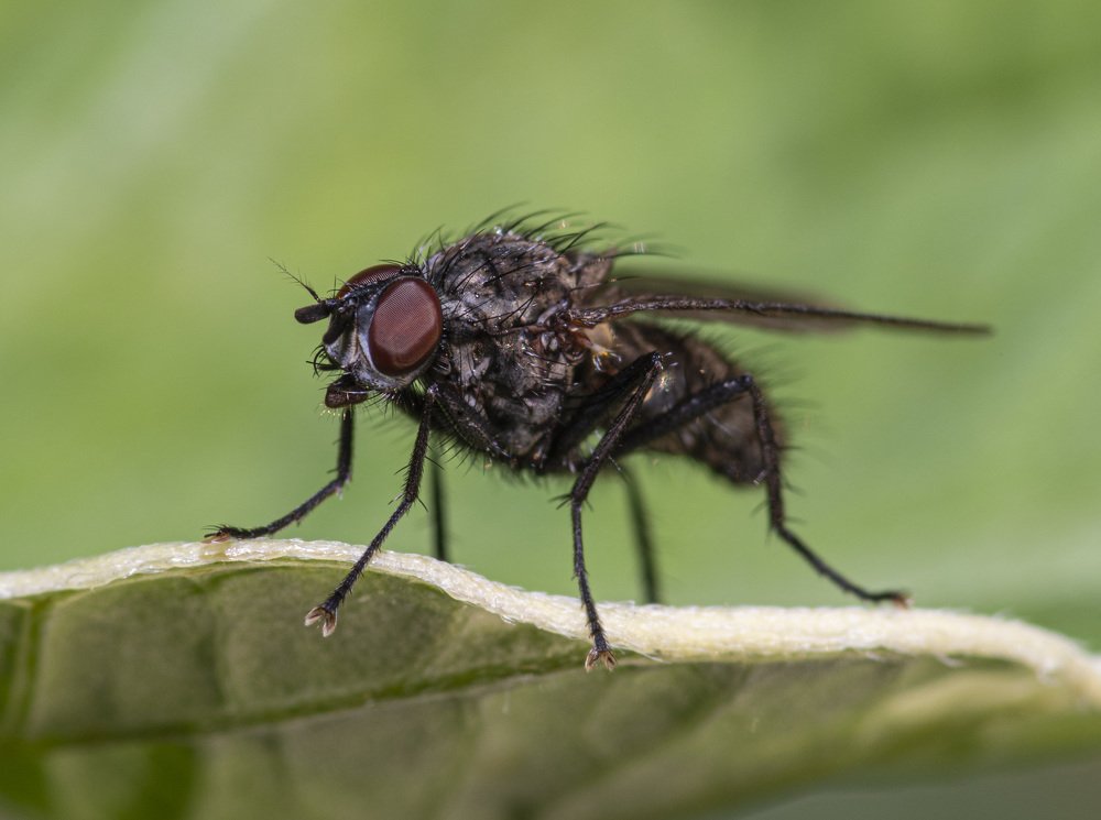 Photograph by Игорь Архипов