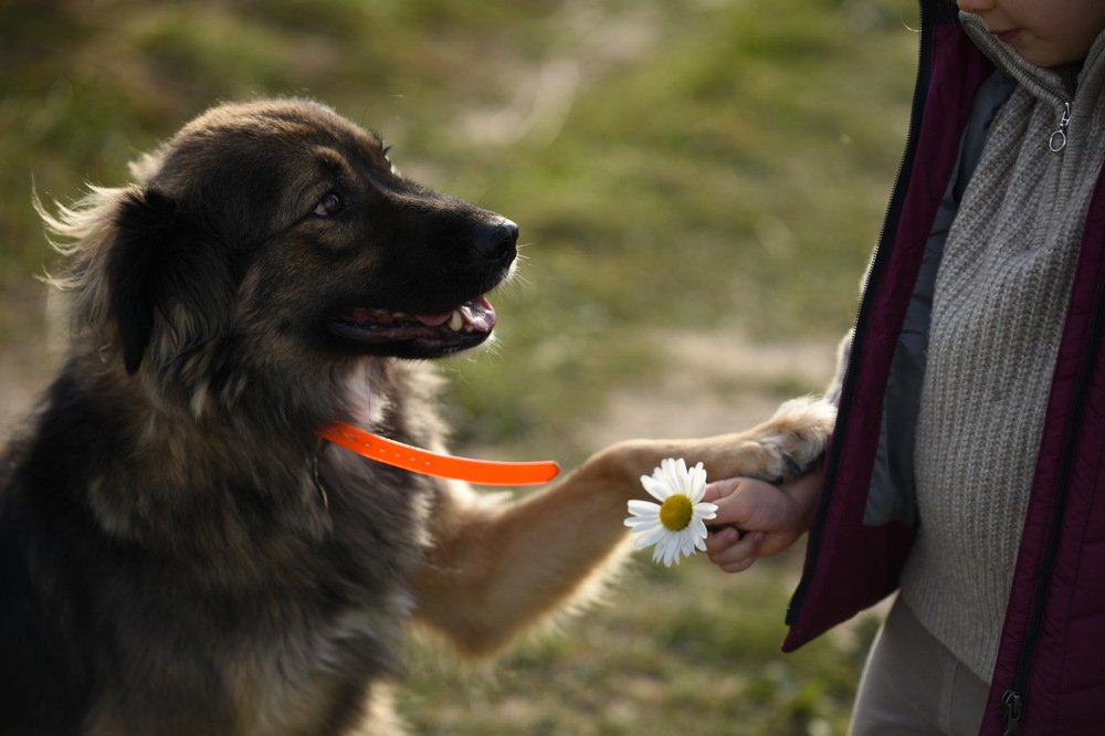 Photograph by Ирина Моисеенко