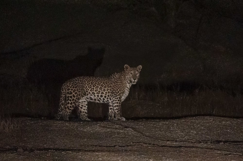 Photograph by Vipul Saxena