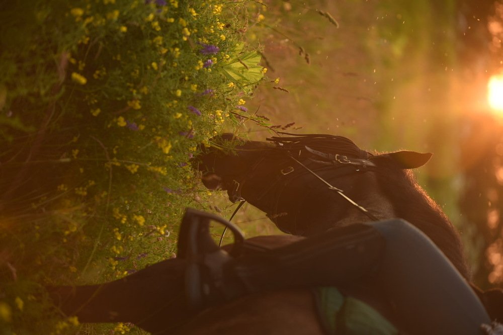 Photograph by Ирина Моисеенко