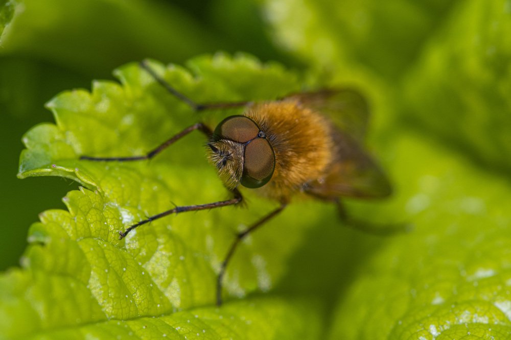 Photograph by Игорь Архипов