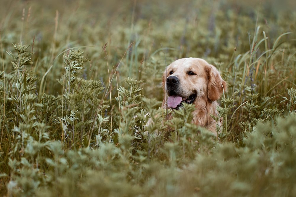 Photograph by Вероника Саратовцева