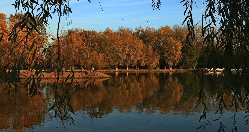 Photograph by Игорь Куленко