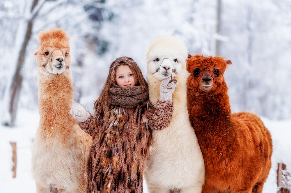 Photograph by Анастасия Шаброва