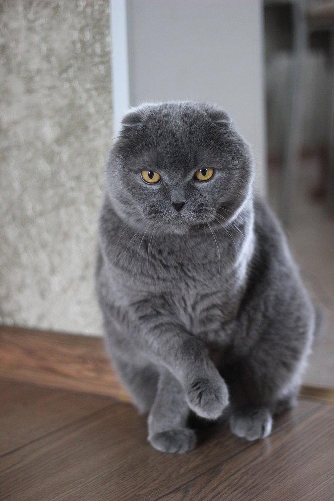 Photograph by Наталья Крюкова