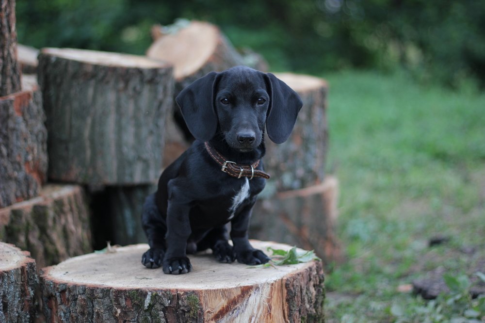 Photograph by Наталья Крюкова