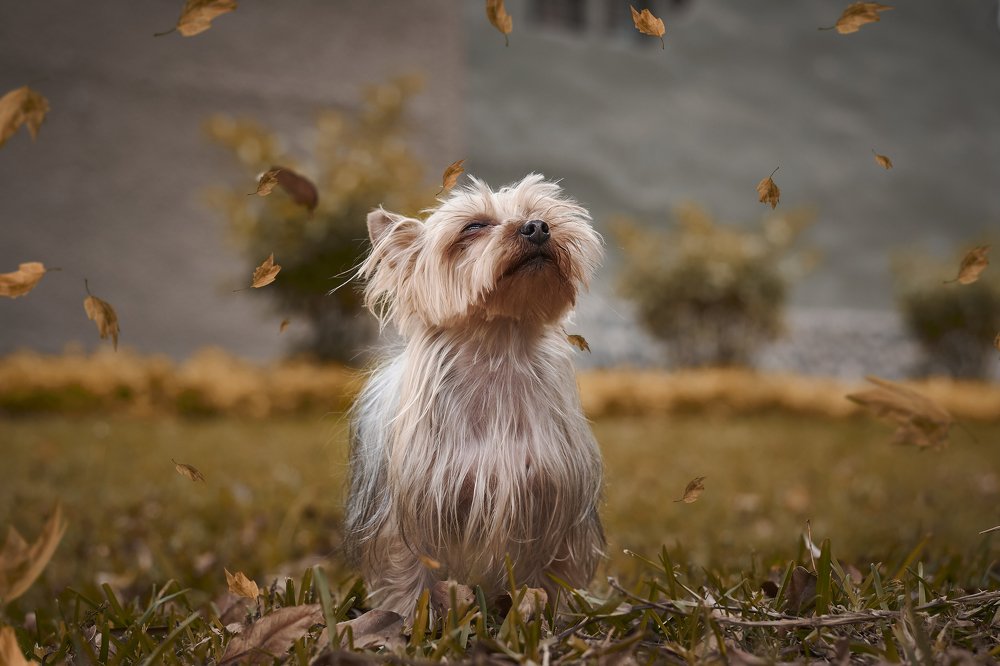 Фотография автора Mino Swayne