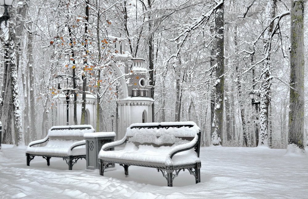 В парке после снегопада