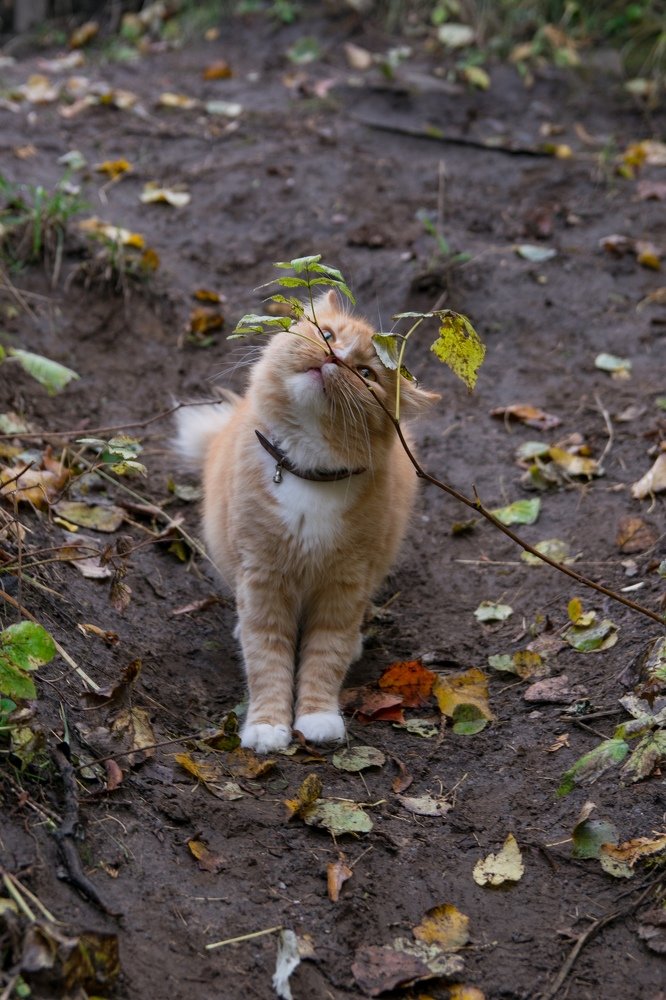 Photograph by Юля Курдова