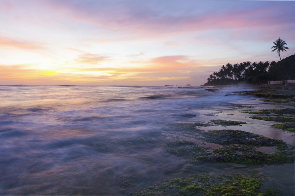 Photograph by Chanaka Athapaththu