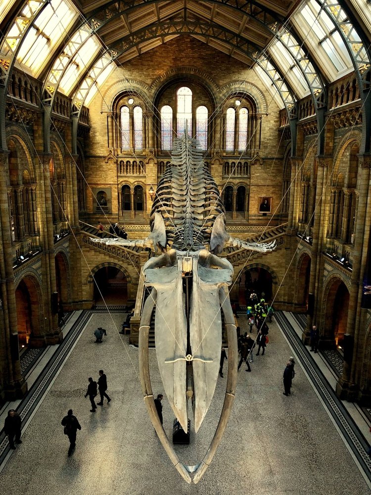 A museum during the daytime...