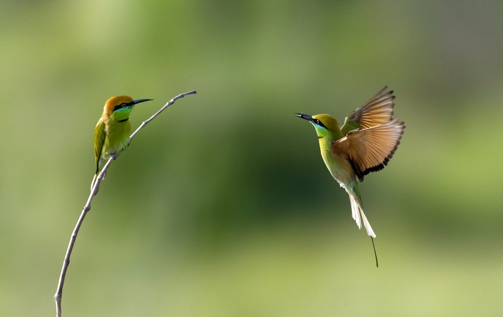 Photograph by Rana Basak