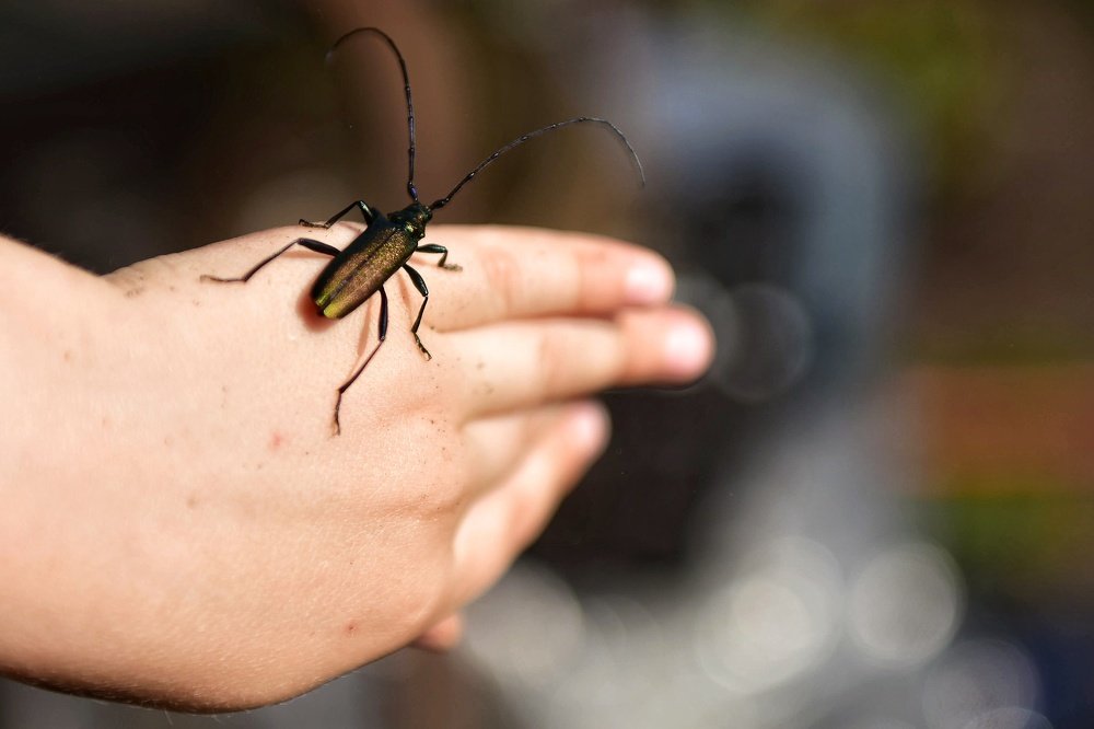 Photograph by Владимир Леликов-Кузьменко