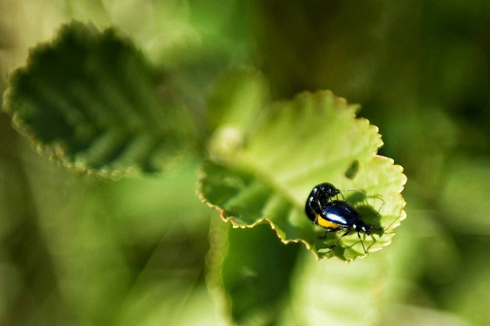 Photograph by Владимир Леликов-Кузьменко