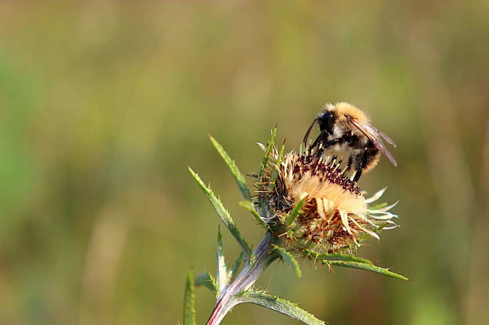 Photograph by Татьяна Котельникова