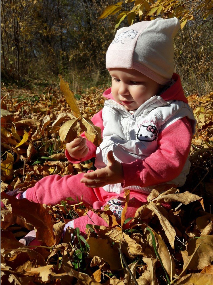 Фотография автора Антон Шайхутдинов