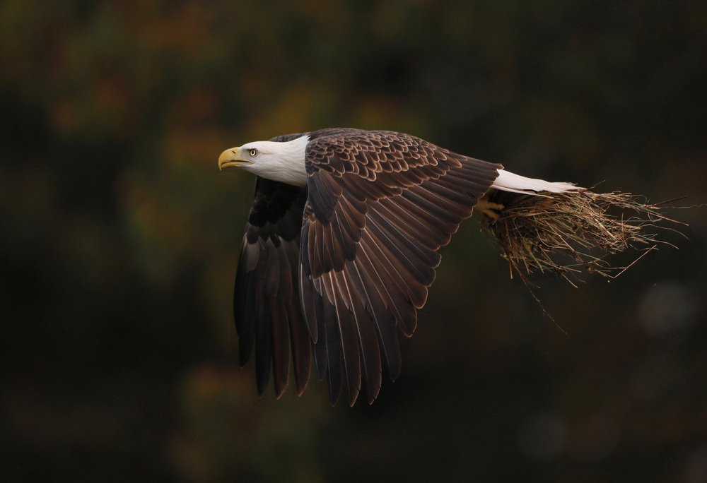 Фотография автора Mark Cavanah