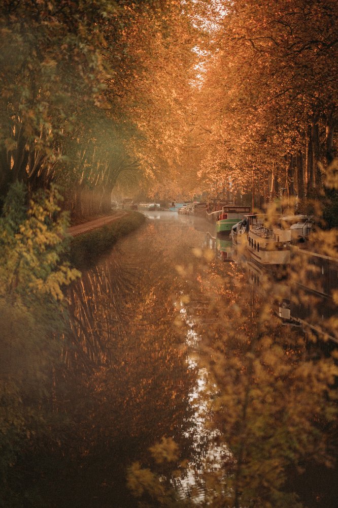 Photograph by Pattie Fellowes