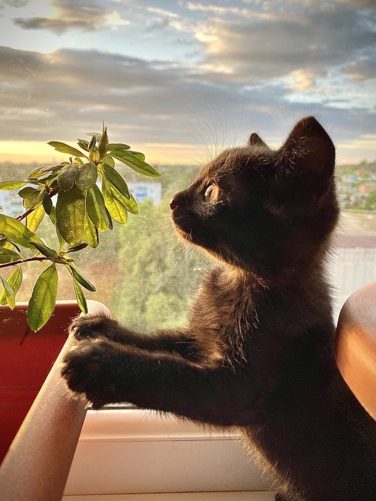 Photograph by Александр Арасланов