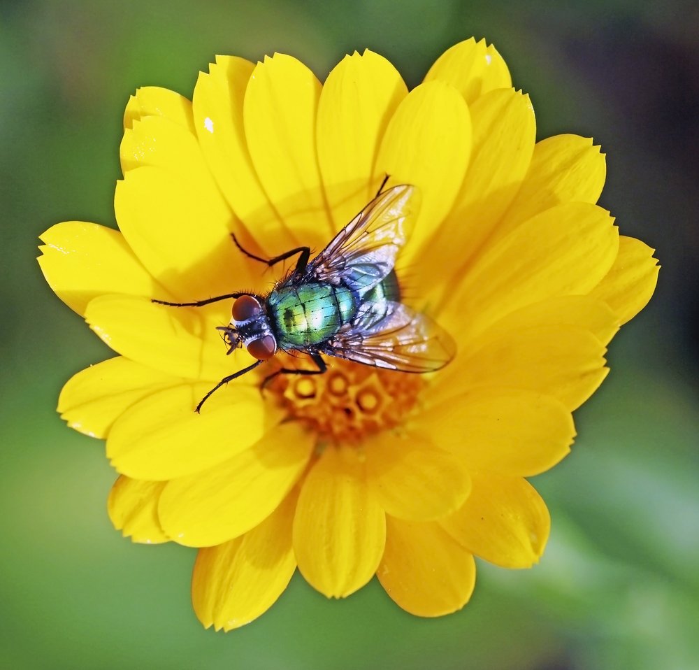 Photograph by Александр Пузиков