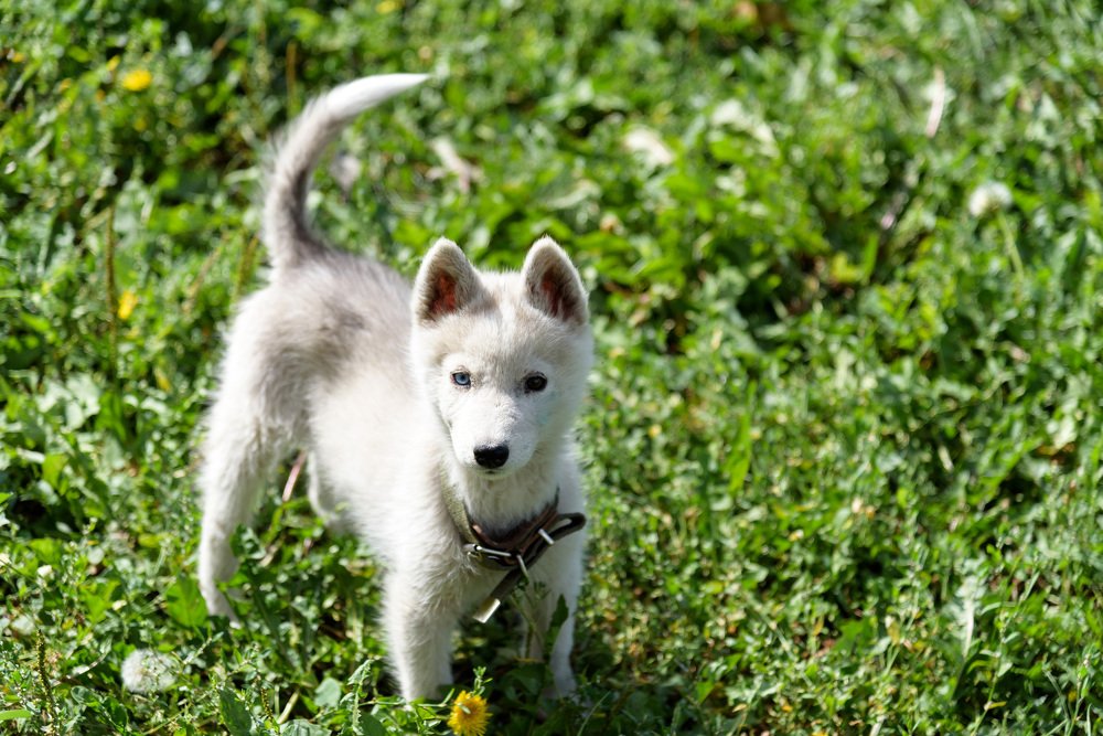 Photograph by Татьяна Биргулиева