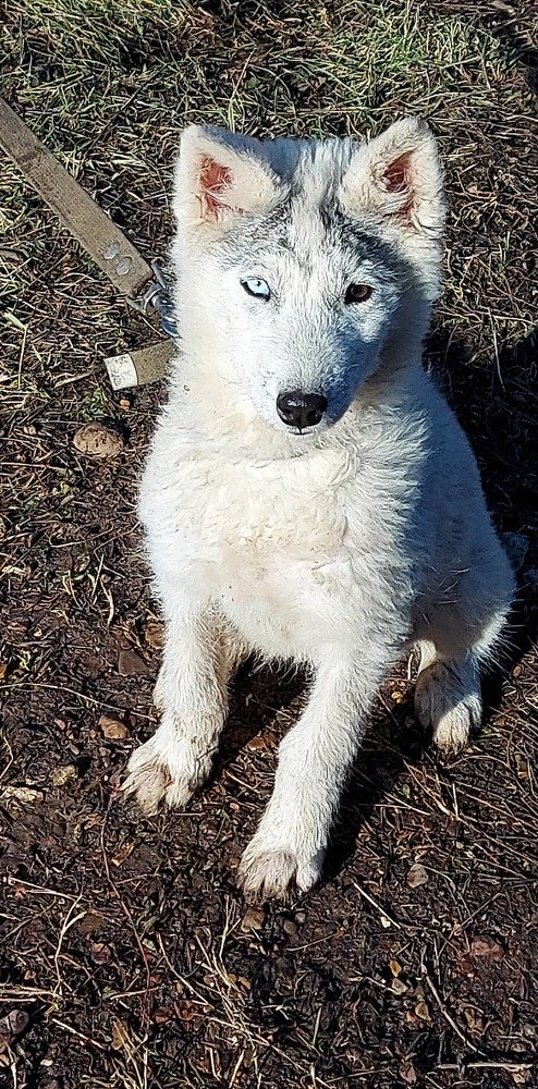 Photograph by Татьяна Биргулиева