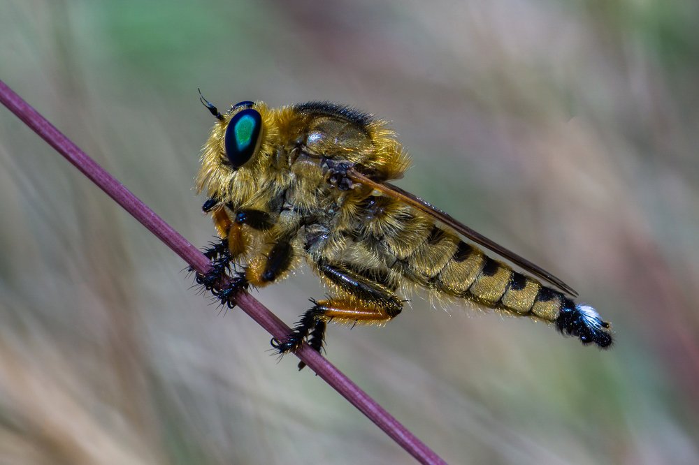 Photograph by Дмитрий Влизько
