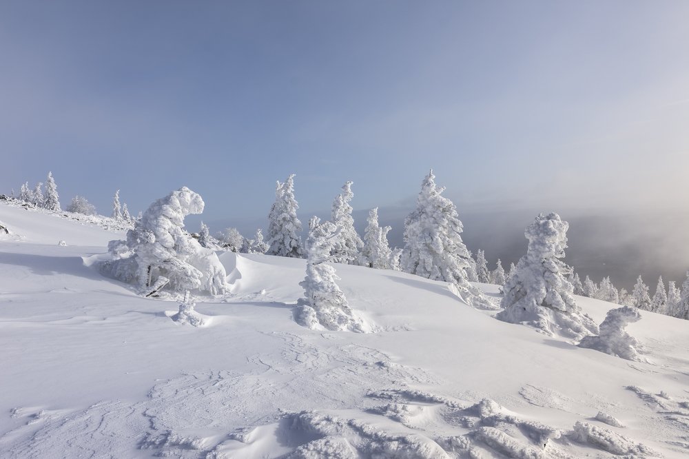 По склонам заснеженных гор.