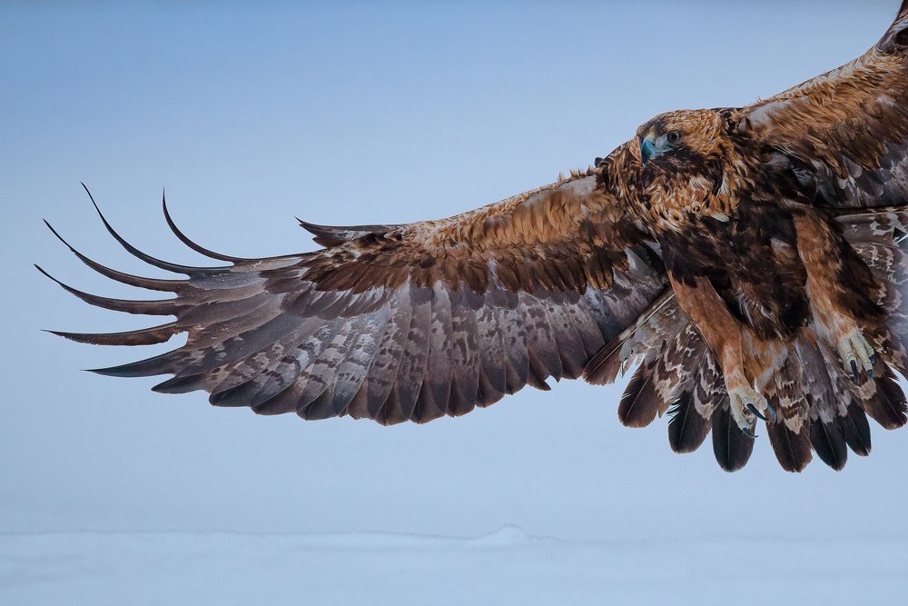 Photograph by Vladimir Koss