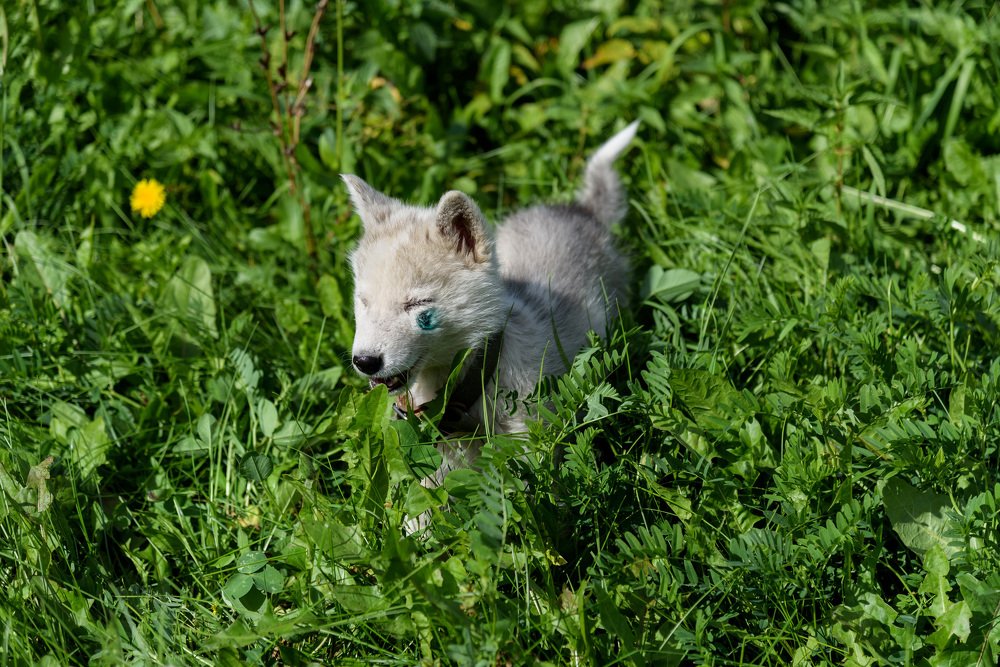 Photograph by Татьяна Биргулиева