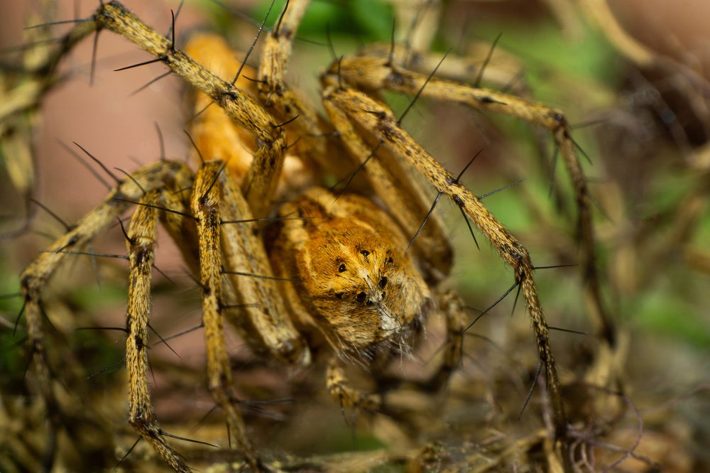 Photograph by Дмитрий Влизько