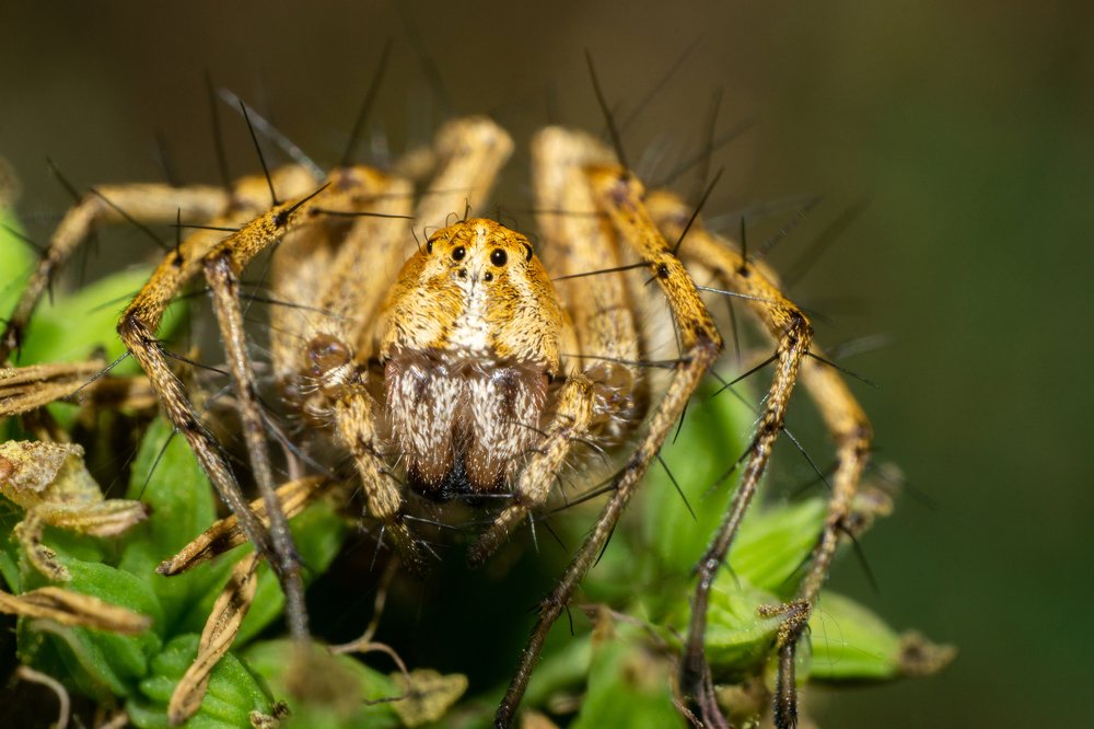 Photograph by Дмитрий Влизько