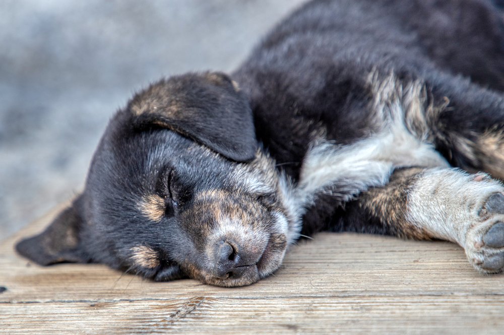 Фотография автора Vasileios Karapanagiotidis