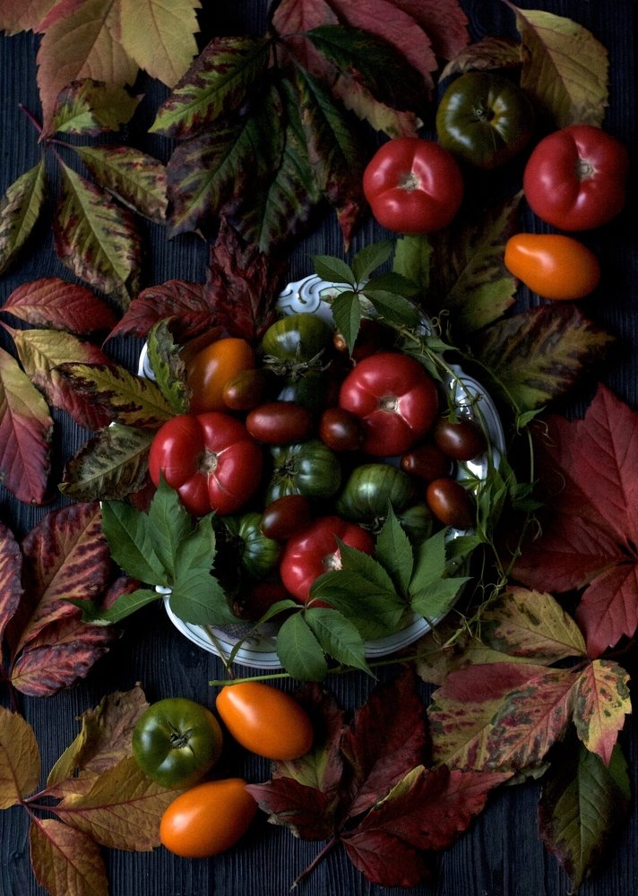 Photograph by Елена Новикова