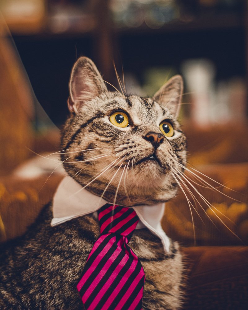 Photograph by Антон Синица