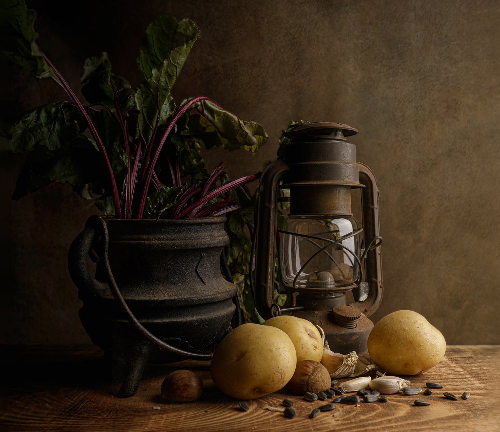 Photograph by Mike Shagin