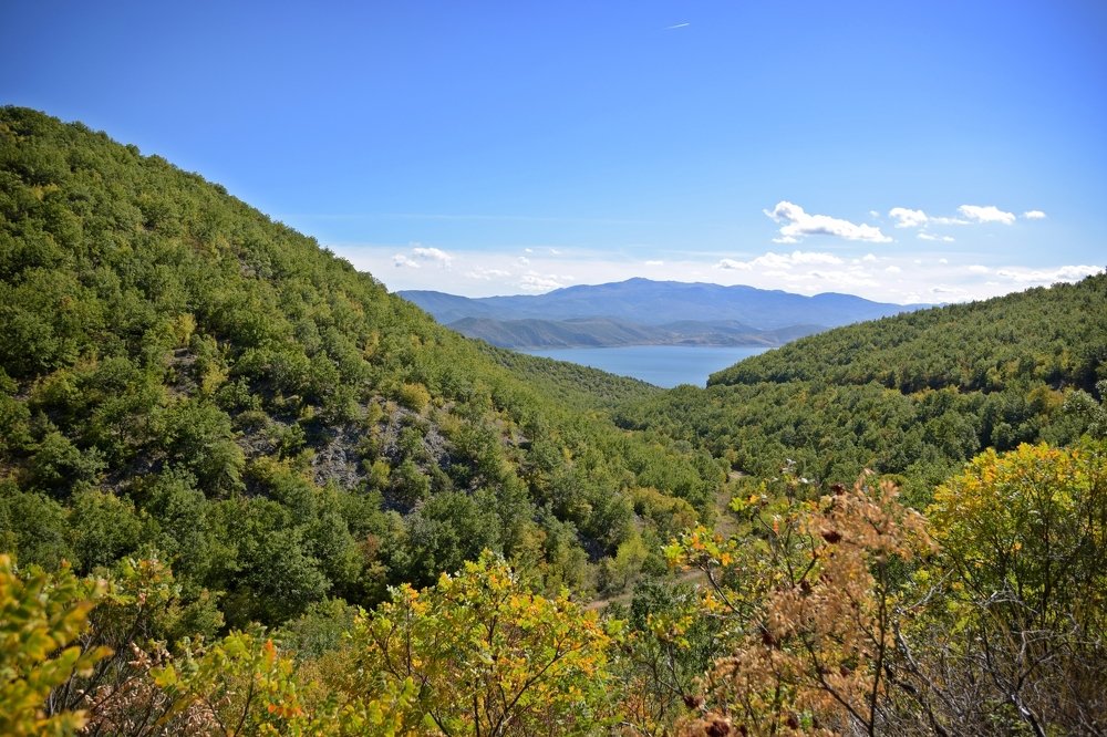Фотография автора Giorgos Sarnatzidis