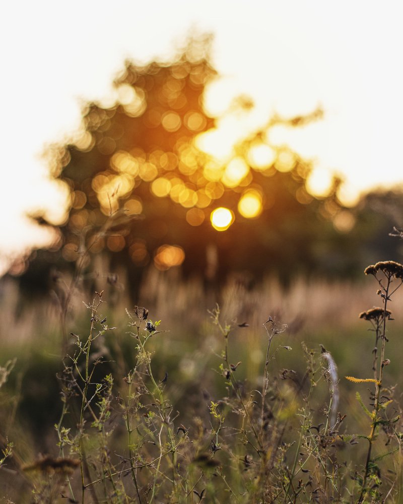 Photograph by Антон Синица