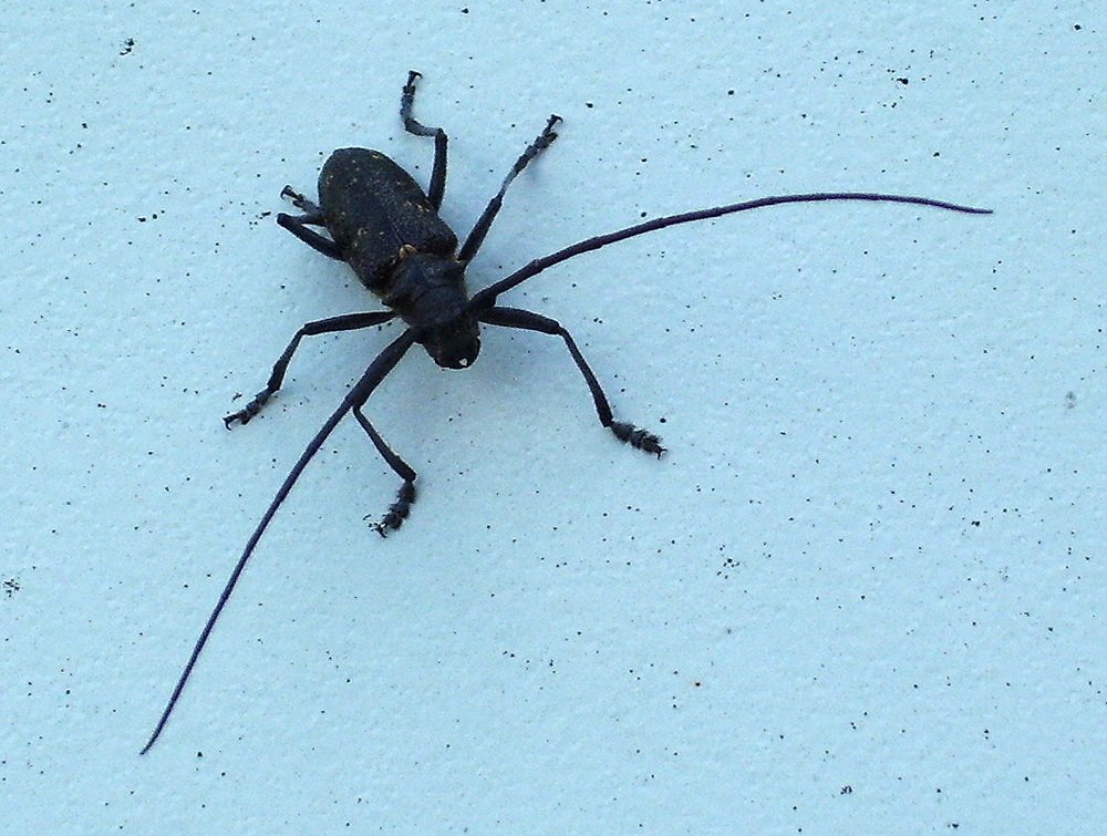 Фотография автора Геннадий Титов