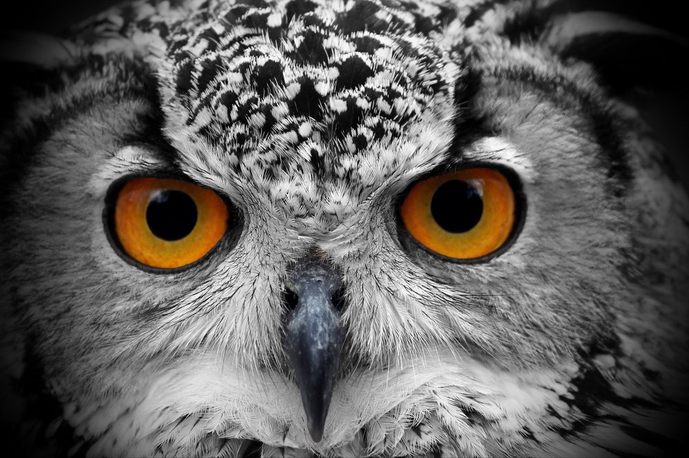 Photograph by Razgulyaev Aleksandr