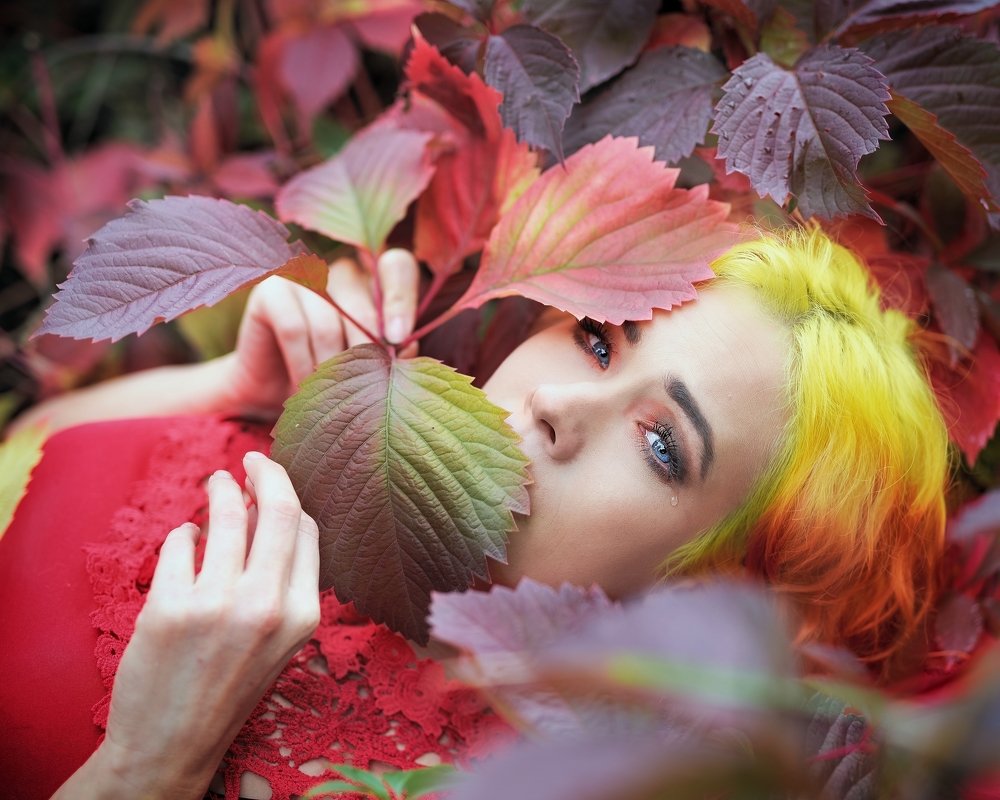 Фотография автора Michaela Firešová