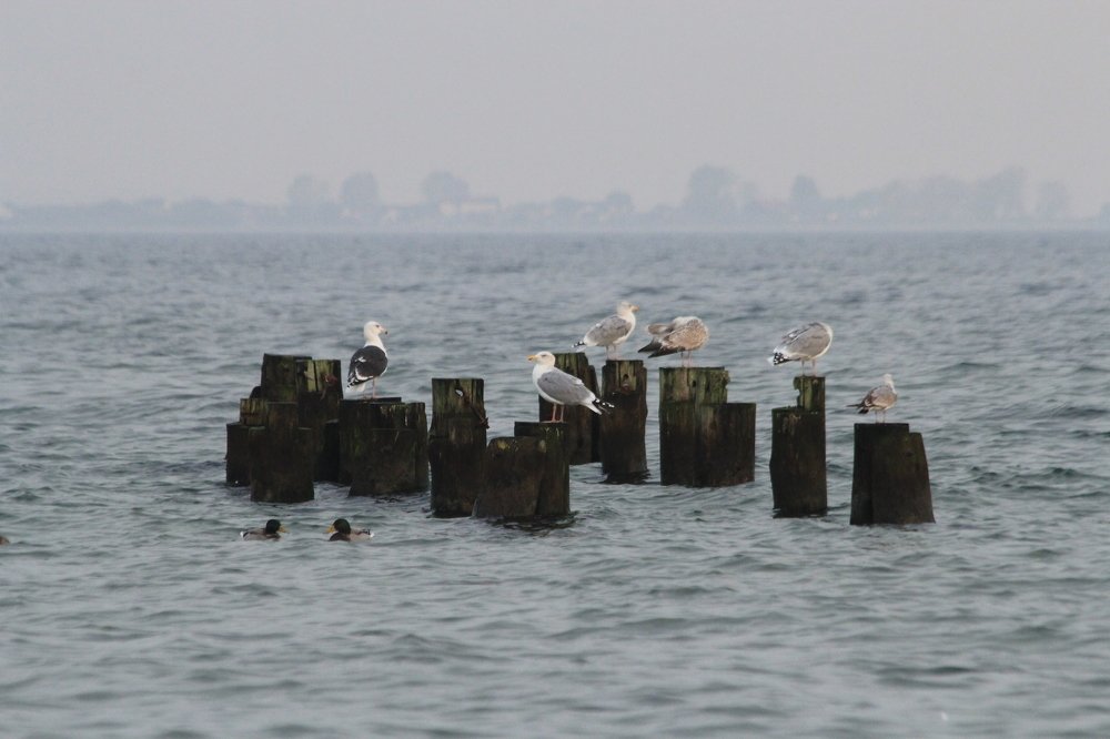 Photograph by Barbara Podlecka