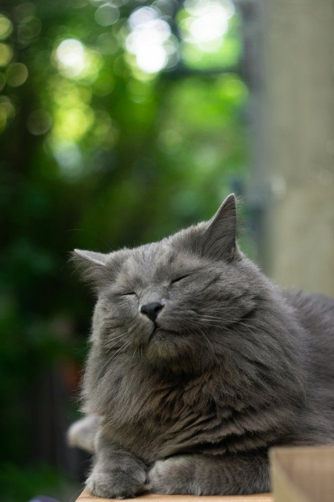 Photograph by Анастасия Киселева