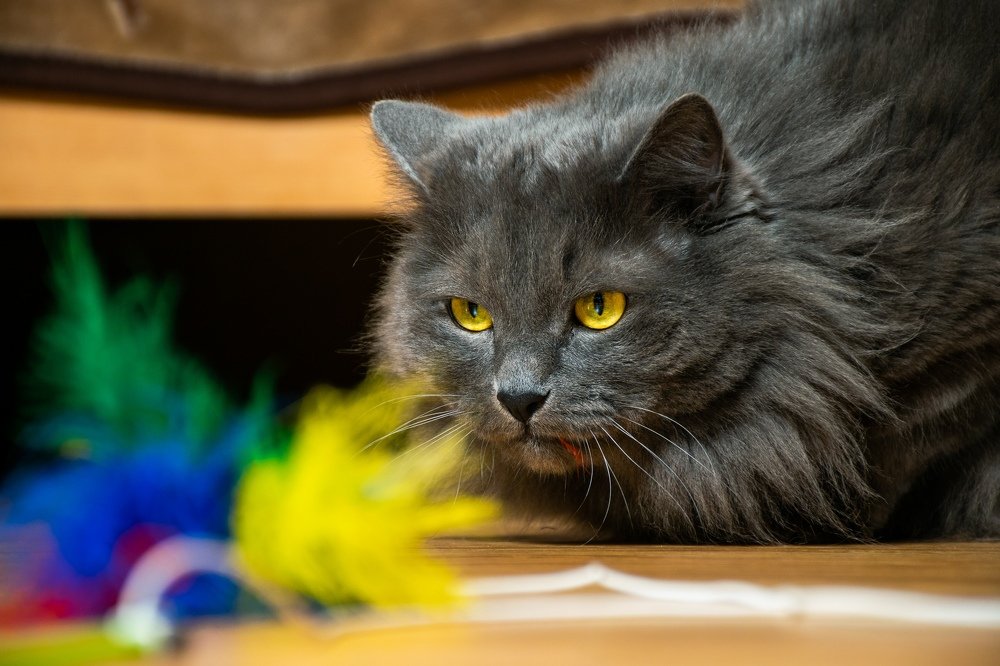 Photograph by Анастасия Киселева