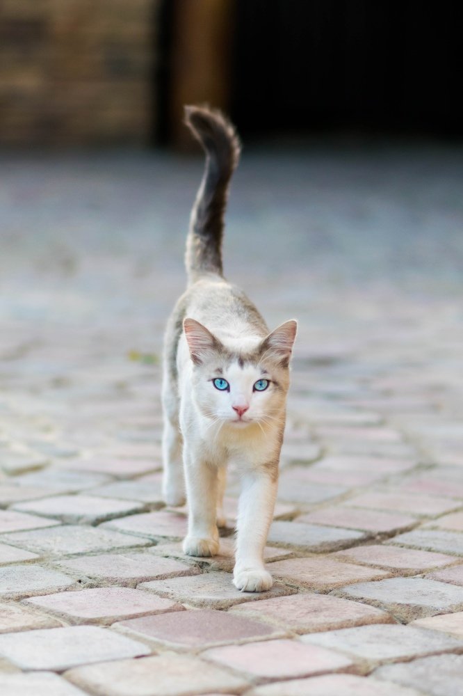 Photograph by Анастасия Киселева