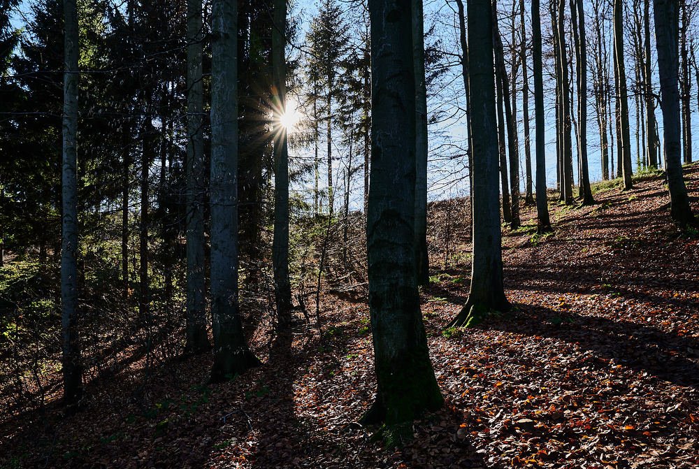 Фотография автора PavDan