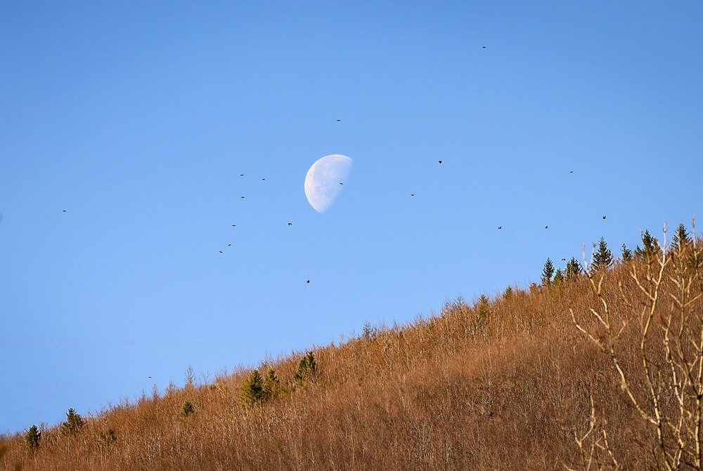 Фотография автора PavDan