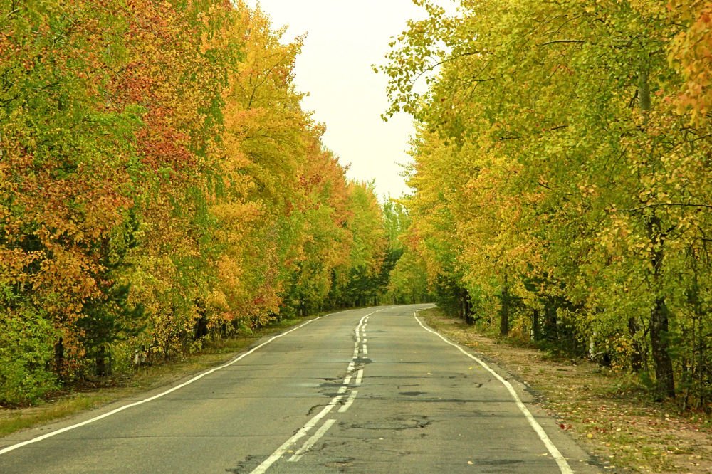 Photograph by Яшин Андрей