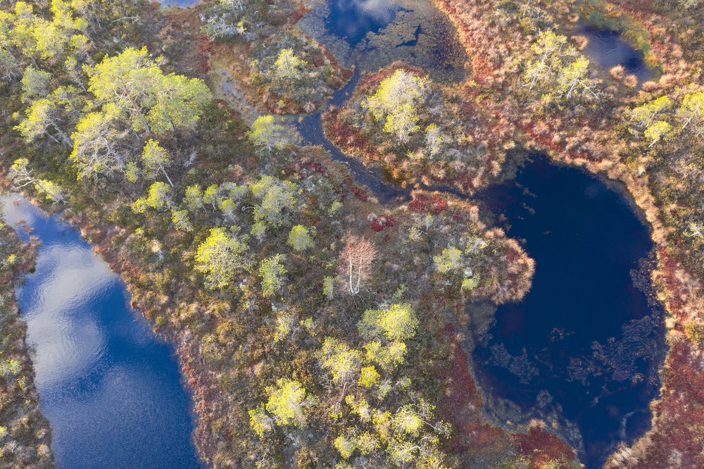 Photograph by Светлана Краюшкина